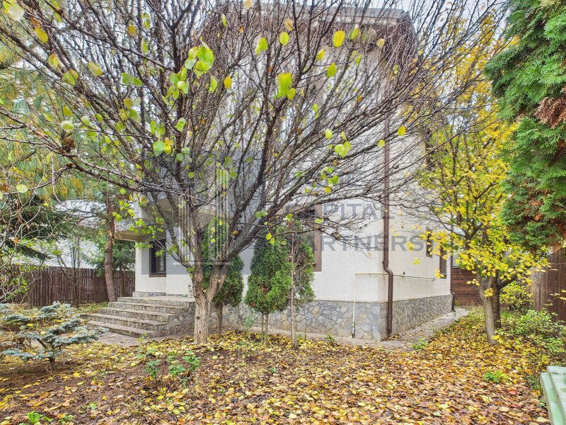 Branesti casa spatioasa de vanzare, gata de mutat, cu curte