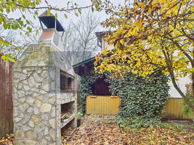 Branesti casa spatioasa de vanzare, gata de mutat, cu curte